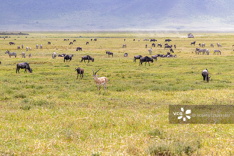 坦桑尼亚恩戈罗恩戈罗国家公园风光图片素材