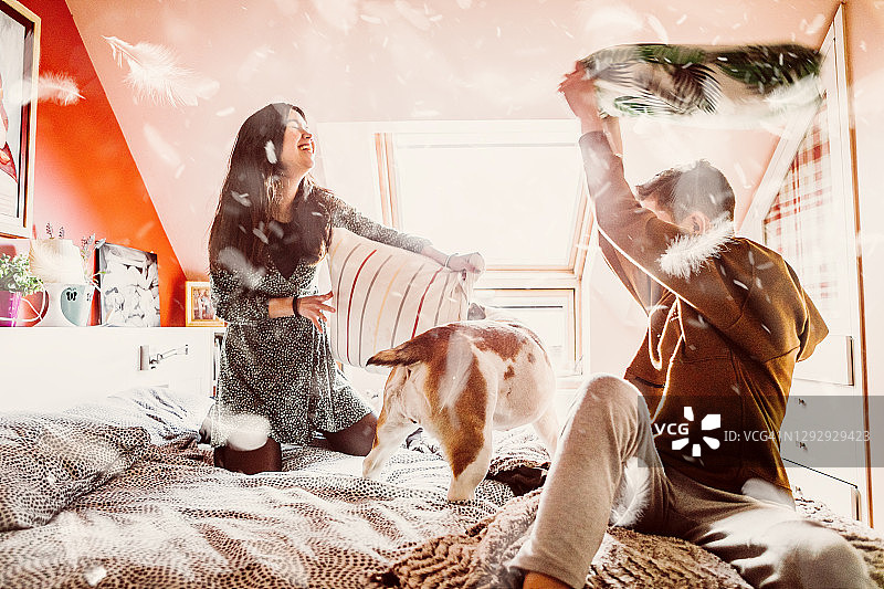 朋友们在卧室里和狗狗一起玩枕头大战图片素材
