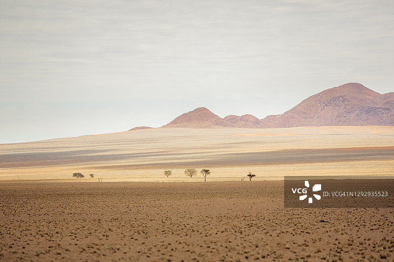 纳米布沙漠图片素材