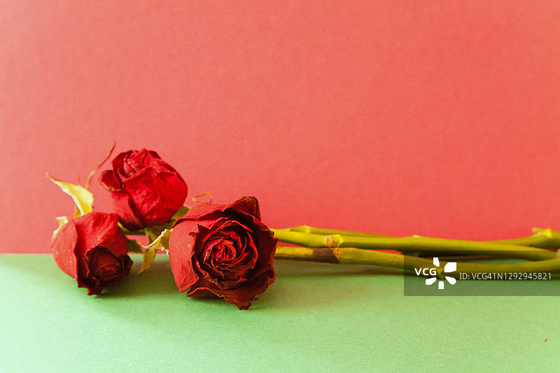 红色背景上的三朵干玫瑰图片素材