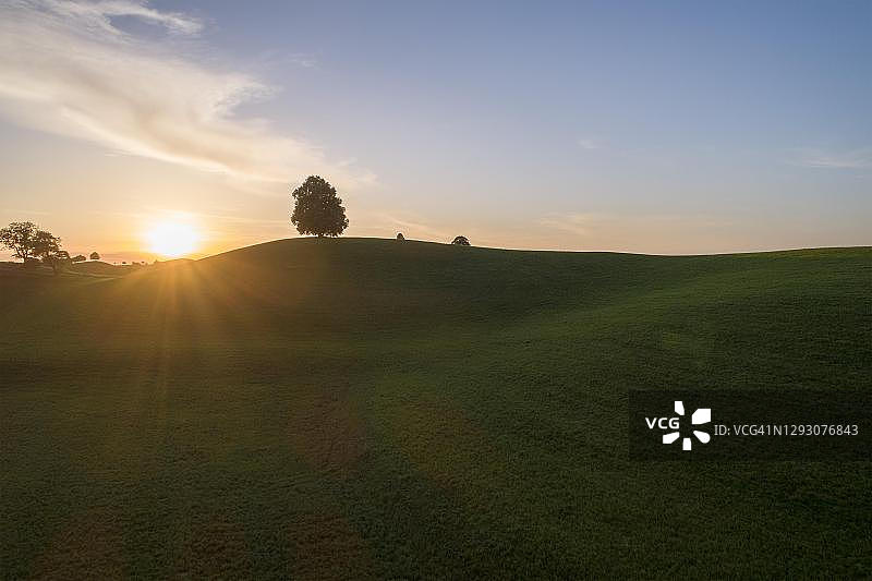 瑞士楚格州门辛根：鼓丘上酸橙树的日落无人机拍摄图片素材