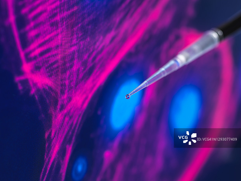 细胞研究，科学家在实验室的实验中将样品吸入多孔板中，背景是细胞的屏幕图像图片素材