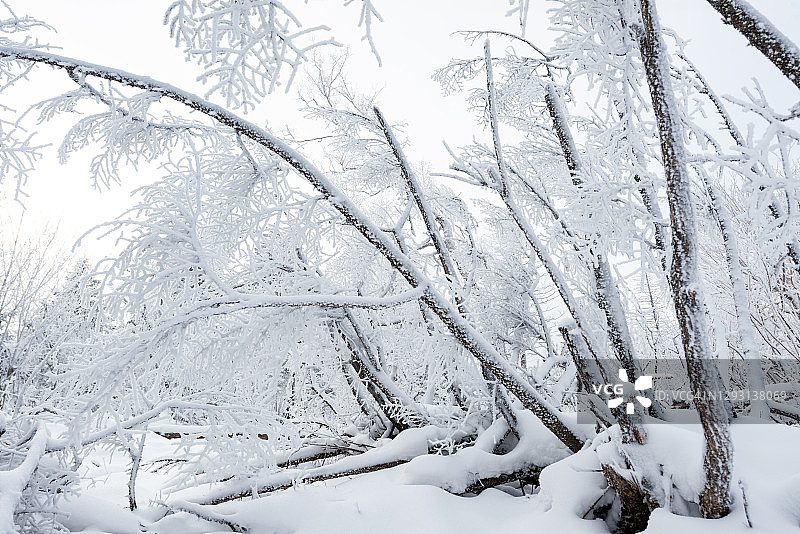 高山滑雪胜地的霜图片素材