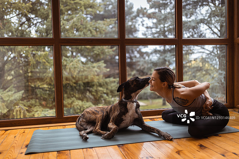 年轻白人女子在家锻炼图片素材