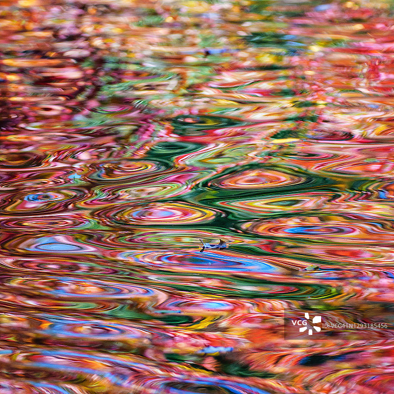 长岛水中迷人的抽象漩涡秋色图片素材