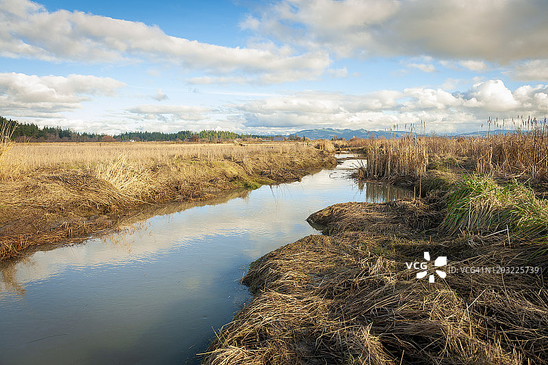 斯卡吉特湾河口图片素材
