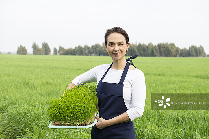 拿着小麦草的女人图片素材