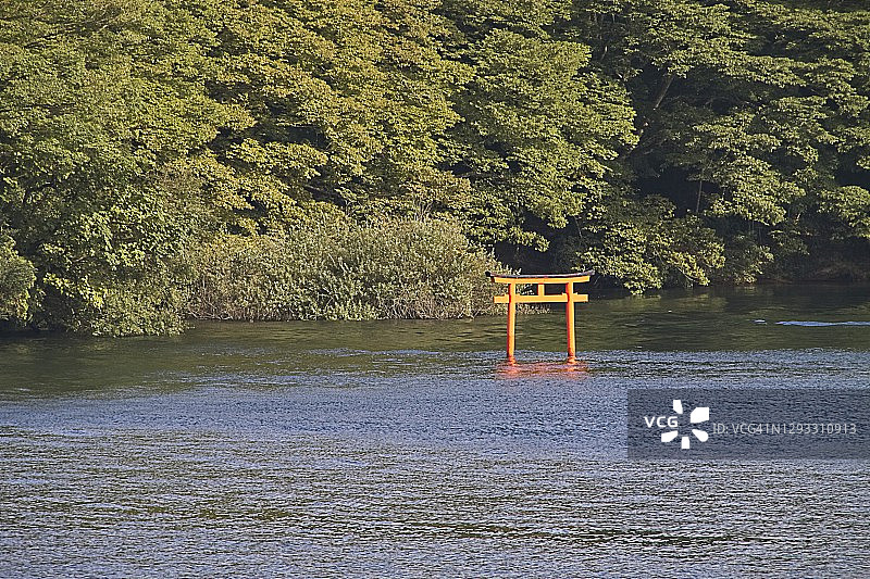 芦之湖中的鸟居图片素材