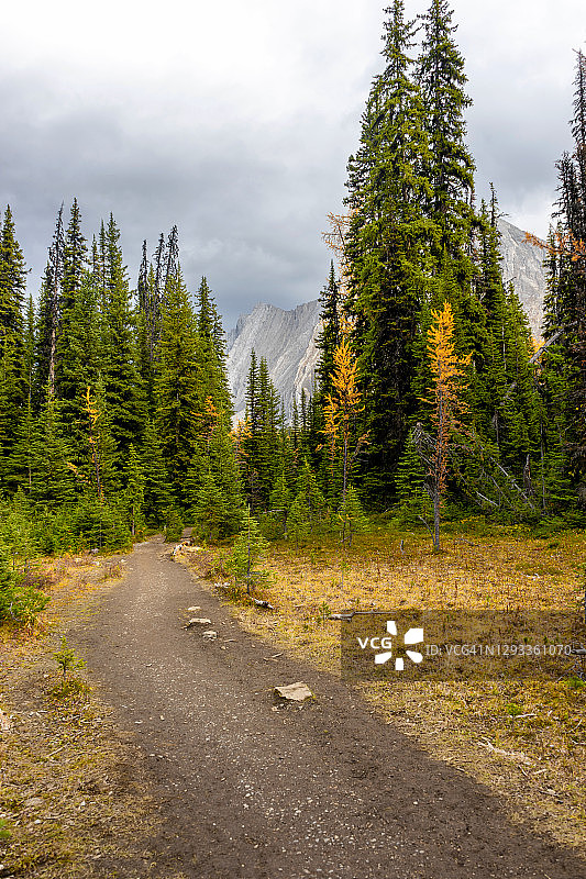 切斯特湖步道图片素材