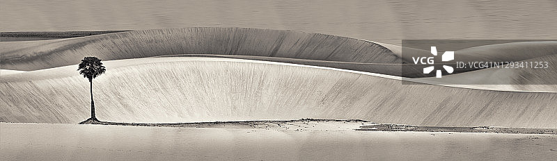 独自在沙漠中图片素材