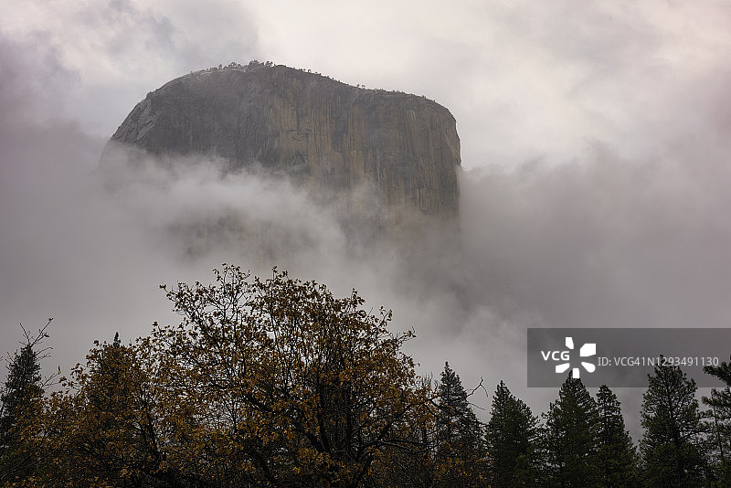 穿过暴风云的酋长岩，秋色树木和松树，优胜美地山谷，优胜美地国家公园，马里波萨县，加利福尼亚州图片素材
