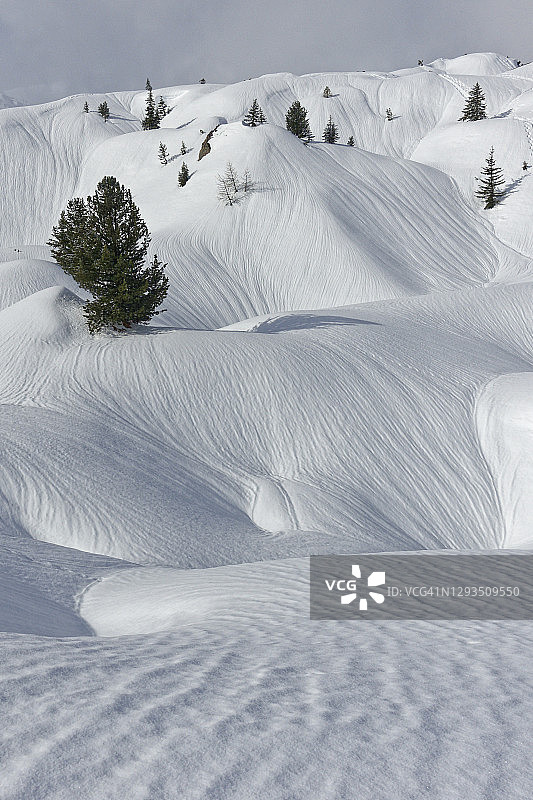 拉普拉涅雪地痕迹图片素材