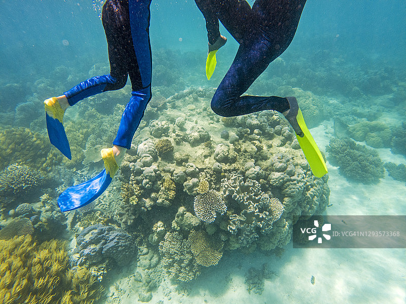 水下珊瑚礁、潜水服和水肺潜水脚蹼，大堡礁浮潜图片素材