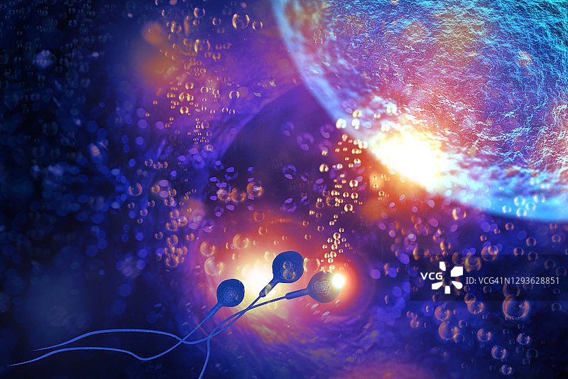 精子和卵子3D图图片素材