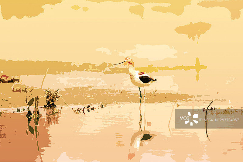 鸟类艺术作品图片素材