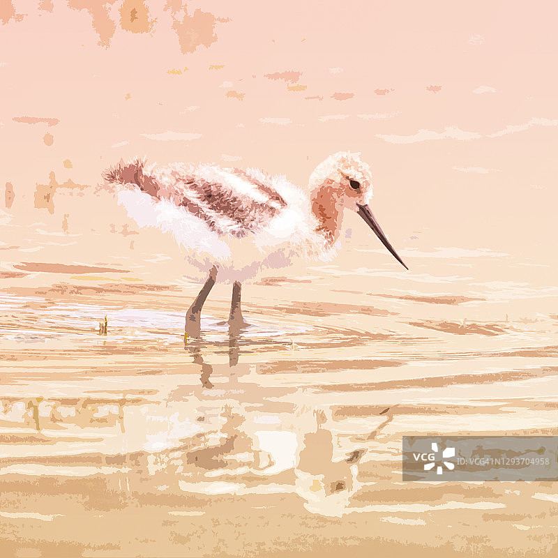 鸟类艺术作品图片素材