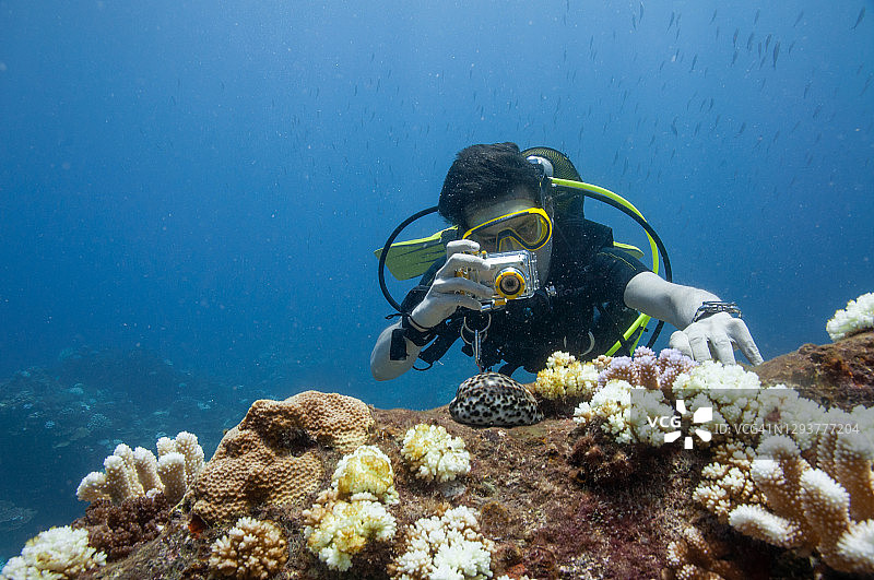 潜水员在水下拍摄海洋生物图片素材