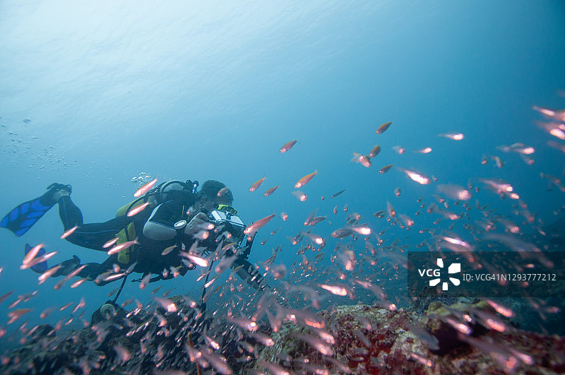 潜水员在水下拍摄海洋生物图片素材
