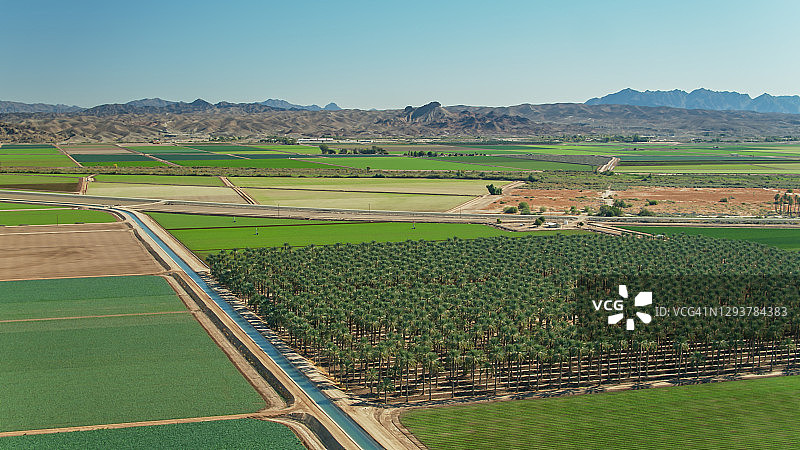 加利福尼亚州帝国谷生长的椰枣树和蔬菜 - 航拍图片素材