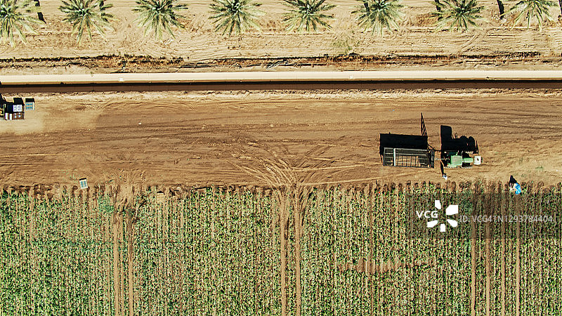 加利福尼亚州帝国谷的农业场景无人机航拍图图片素材