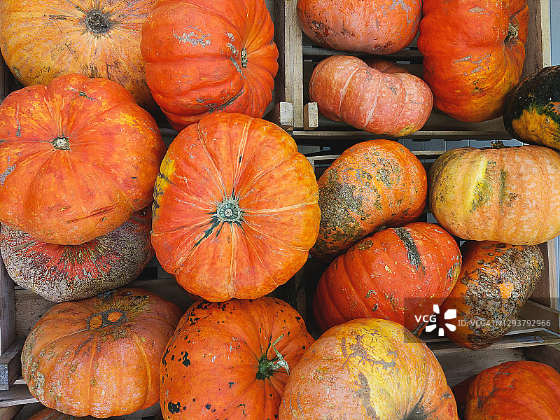 杂货市场木箱或容器中待处理的旧南瓜图片素材