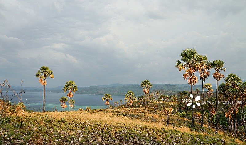 纳闽巴焦图片素材