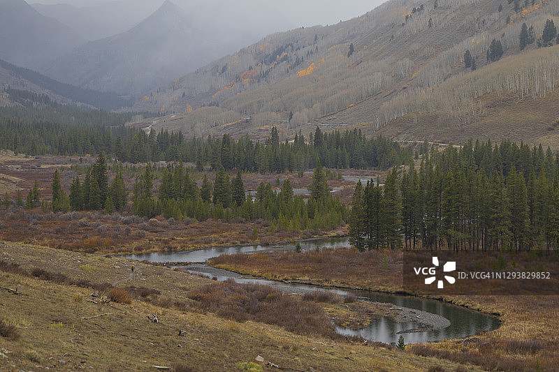 有蜿蜒河流的松树图片素材