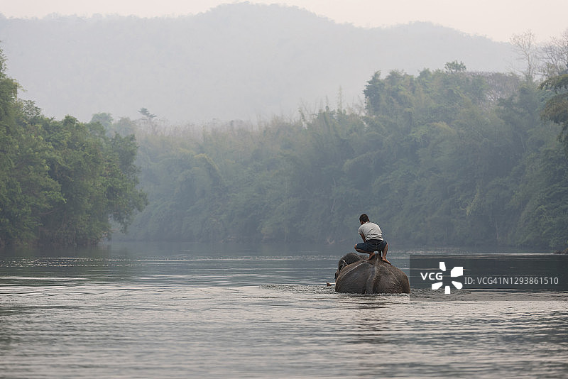 泰国旅游：桂河大象徒步活动图片素材