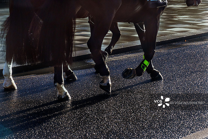 都市骑警部队的马蹄图片素材