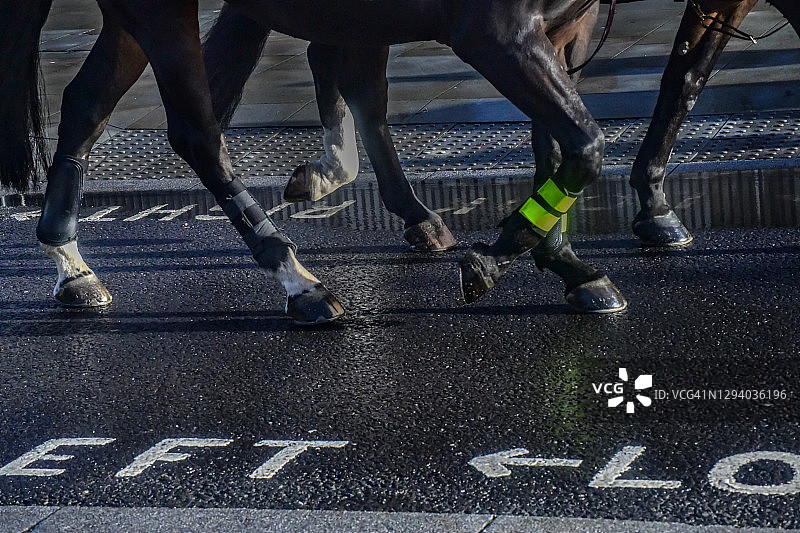 都市骑警部队的马蹄图片素材