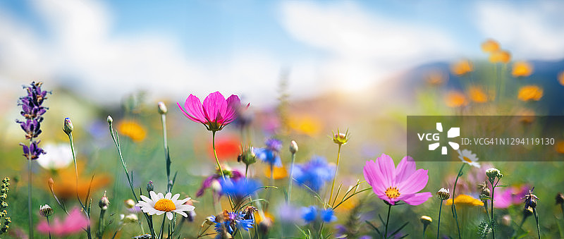 田园牧场图片素材