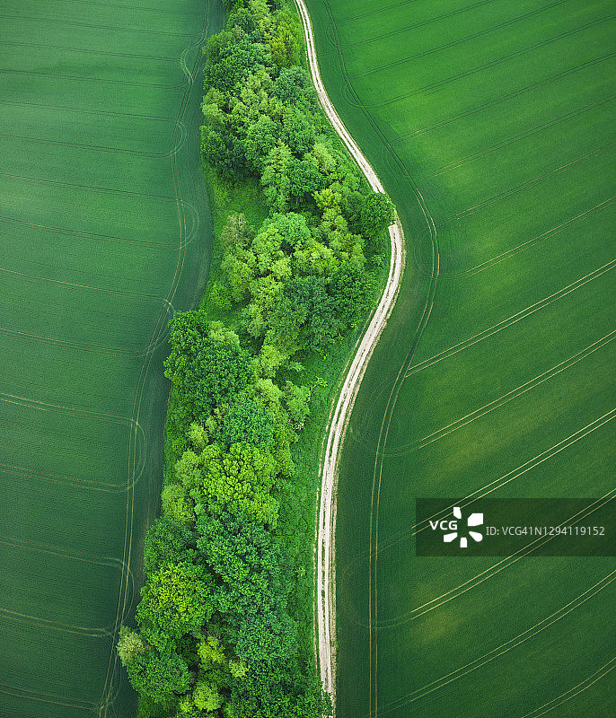 绿色的田野图片素材