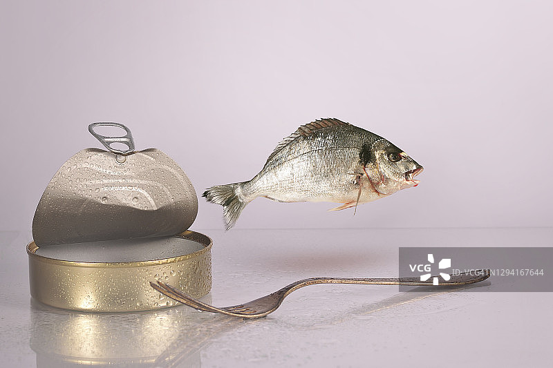 鱼跃金属罐和银叉图片素材