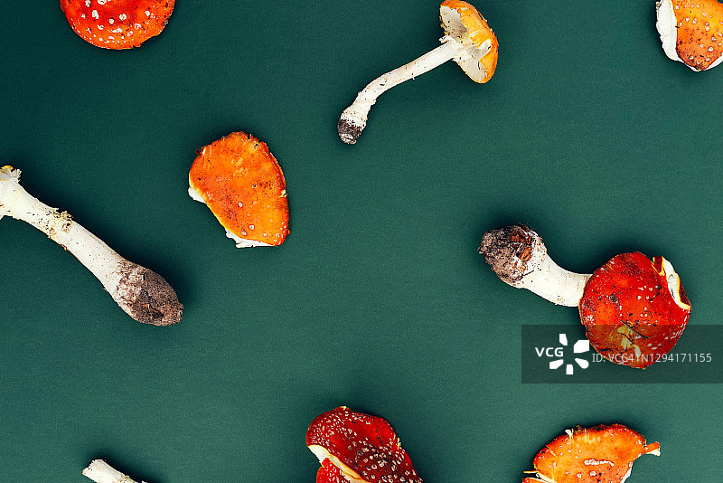 绿色背景上的鹅膏菌图片素材