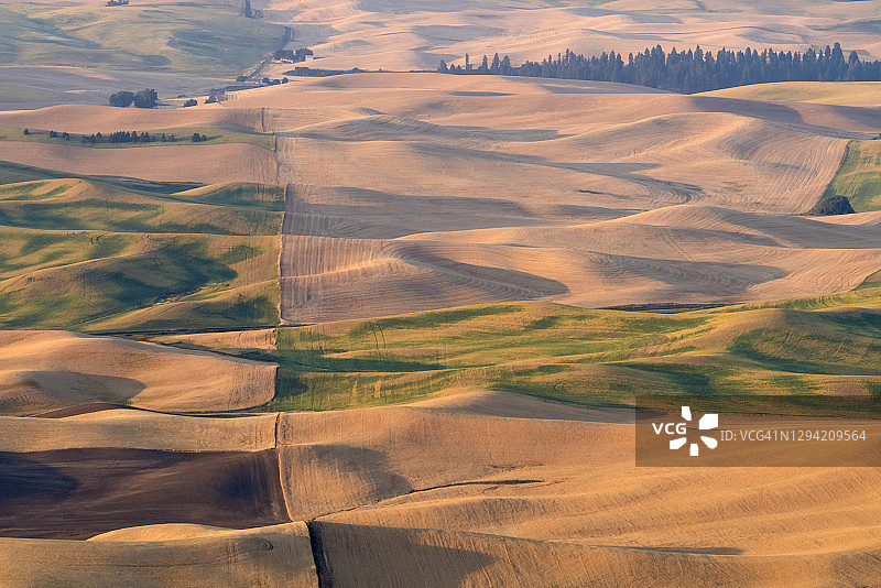 连绵起伏的丘陵和阴影图片素材