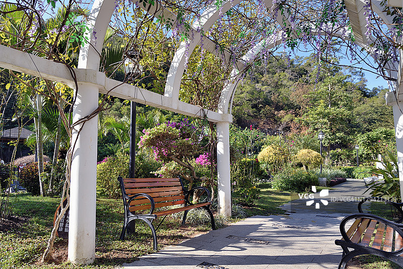 空椅子和花园长廊图片素材