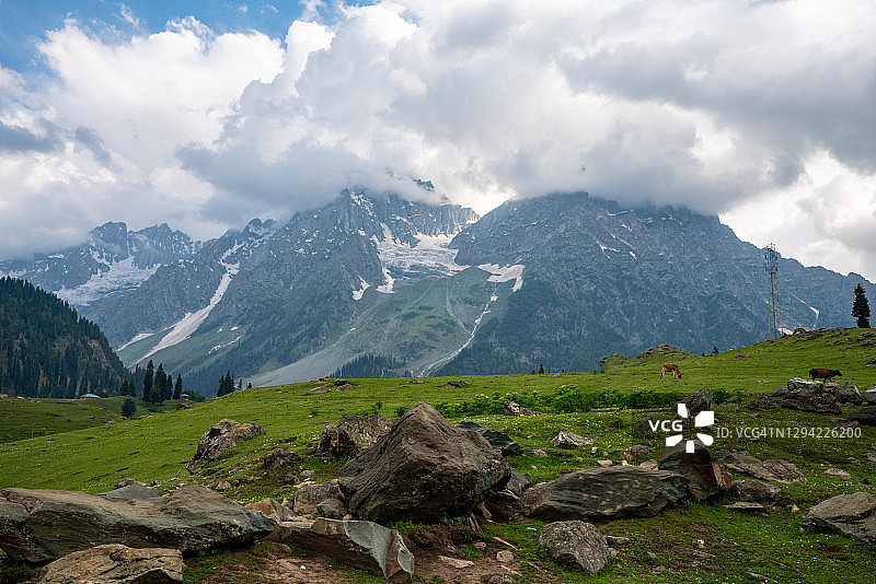 克什米尔帕哈尔加奥山谷图片素材