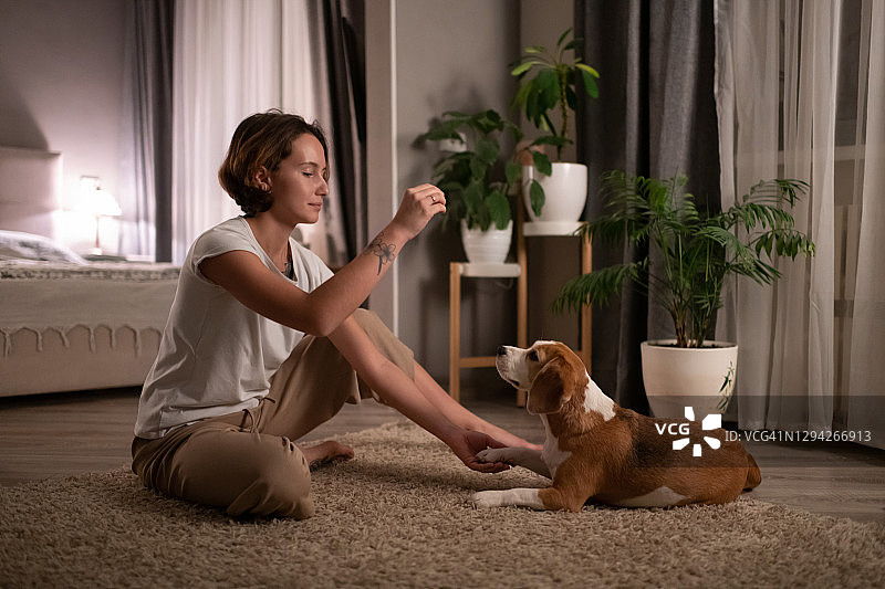 年轻女子在地板上训练狗图片素材