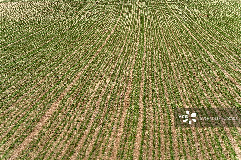 播种过的田地图片素材