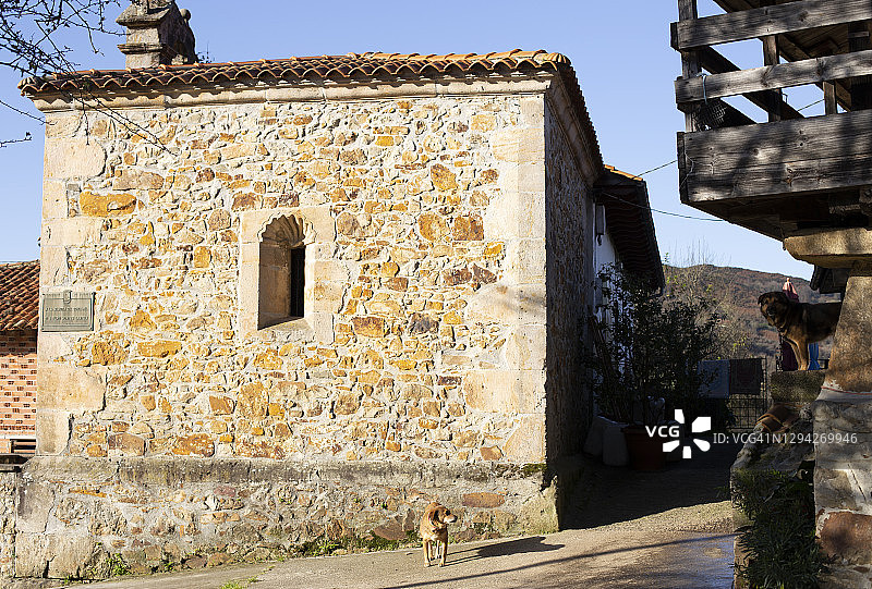 圣巴巴拉教堂外的狗图片素材