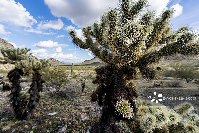 美国亚利桑那州凤凰城山区珍珠查尔斯纪念列车小径图片素材