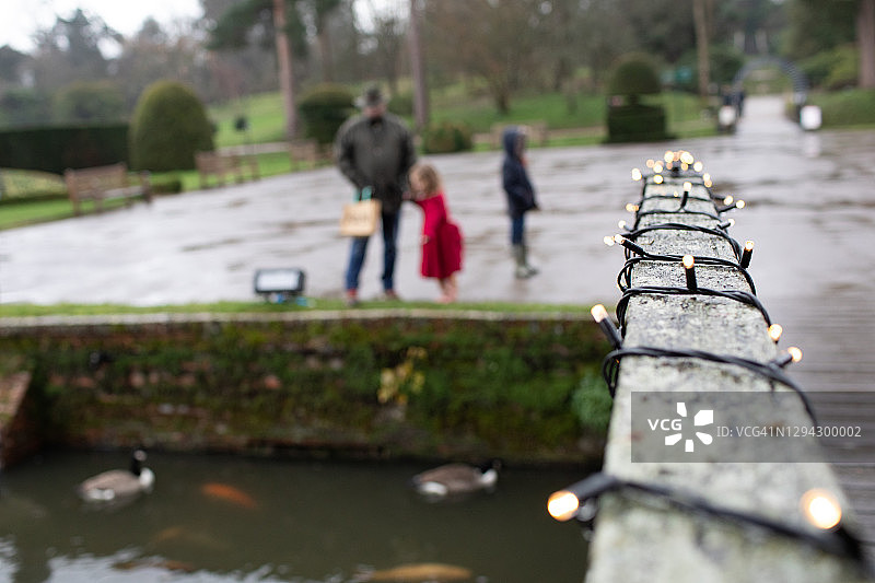 父子在雨中观赏鸭子图片素材