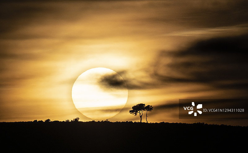 山顶树木剪影与橙色云霞日落景观图片素材