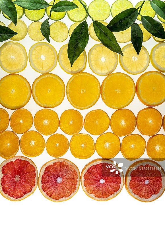 柑橘水果排列：西柚、橙子、橘子、柠檬图片素材