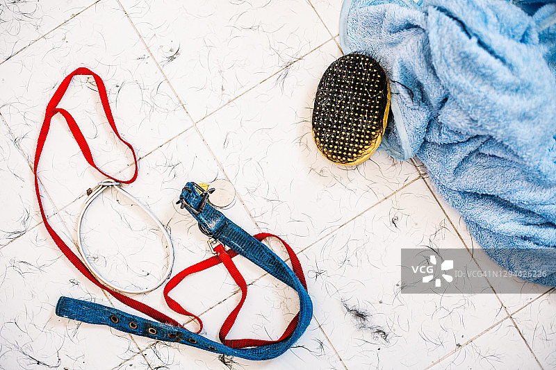 白色浴室地板上的蓝色毛巾和黄色橡胶刷图片素材