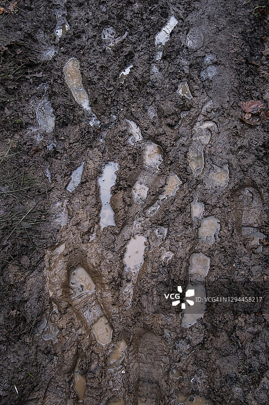 泥泞的脚印图片素材