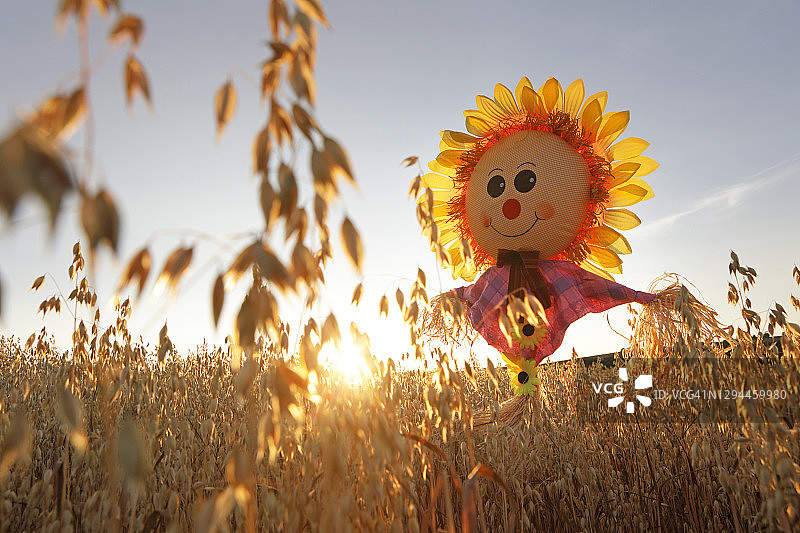 农田里的稻草人图片素材
