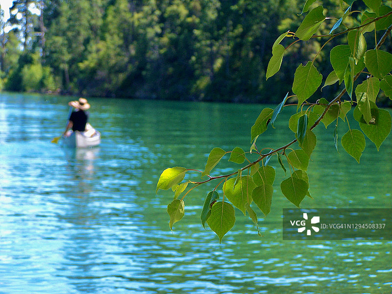 在平头湖上划独木舟图片素材