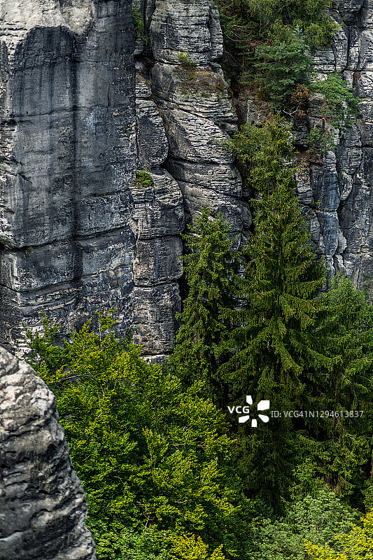 德国萨克森瑞士Elbsandstein山脉的森林和岩石的高角度视图图片素材