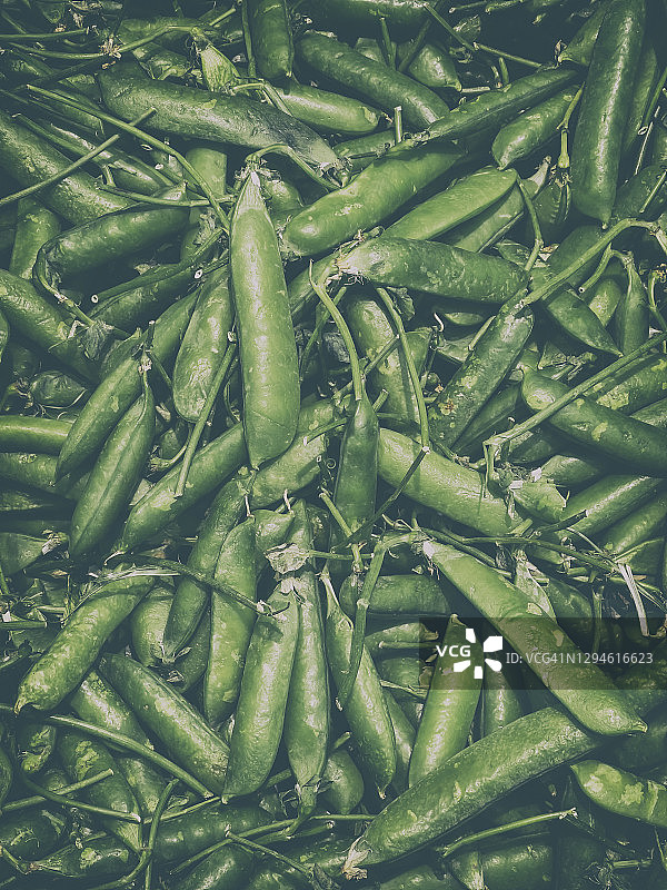 豆子堆图片素材